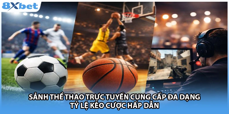 Sảnh thể thao 8xbet cung cấp đa dạng tỷ lệ kèo cược hấp dẫn