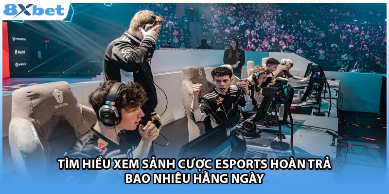 Tìm hiểu xem sảnh cược esports hoàn trả bao nhiêu hằng ngày