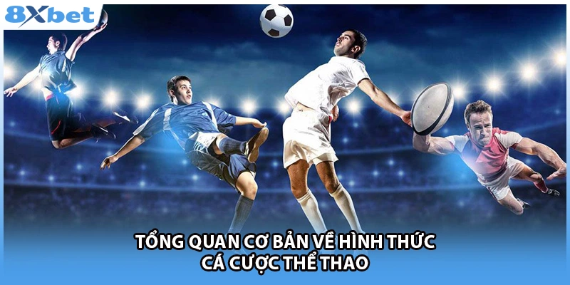 Tổng quan cơ bản về hình thức cá cược thể thao